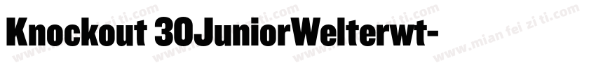 Knockout 30JuniorWelterwt字体转换